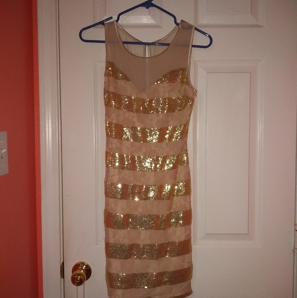 Lace Nude Pink and Gold Dress